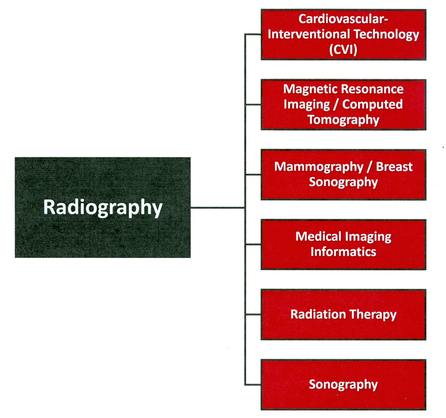 Degree Map 2019